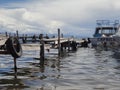 Pier on Titicaca lake, Bolivia