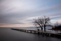 Pier and trees