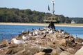 Pier view off cape cod