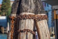 Pier wooden poles tightened together by rusty chains on canal in Venice, Italy Royalty Free Stock Photo