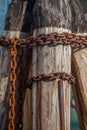 Pier wooden poles tightened together by rusty chains on canal in Venice, Italy Royalty Free Stock Photo