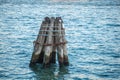 Pier wooden poles tightened together by rusty chains on canal in Venice Royalty Free Stock Photo