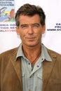 Pierce Brosnan Royalty Free Stock Photo
