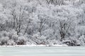 Pierce Lake Snowfall - Illinois Royalty Free Stock Photo