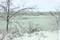 Pierce Lake Snowfall - Illinois Royalty Free Stock Photo