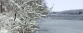Pierce Lake Snowfall - Illinois Royalty Free Stock Photo
