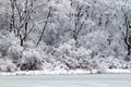 Pierce Lake Snowfall Landscape Illinois Royalty Free Stock Photo