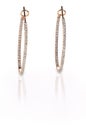 Pierced diamond hoop earrings in rose gold Royalty Free Stock Photo