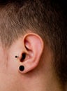 Pierced ear Royalty Free Stock Photo