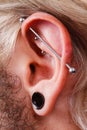 Pierced man ear, black plug tunnel, industrial and rook Royalty Free Stock Photo