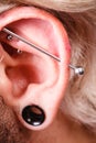 Pierced man ear, black plug tunnel, industrial and rook Royalty Free Stock Photo