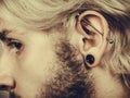 Pierced man ear, black plug tunnel, industrial and rook Royalty Free Stock Photo