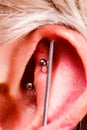 Pierced man ear, black plug tunnel, industrial and rook Royalty Free Stock Photo