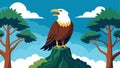 The piercing call of a bald eagle perched atop a tall mangrove tree surveying its territory and adding to the diversity Royalty Free Stock Photo