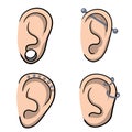 Piercing in ears. Set of different types earrings