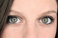 Piercing Eyes Straight On Royalty Free Stock Photo