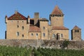 Pierreclos castle in Burgundy