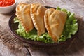 Pies empanadas on a plate with lettuce and sauce, horizontal