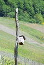 Piesport, Germany - 06 01 2021: weird birdhouse