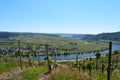 Piesport, Germany - 06 01 2021: vineyards with a view to village Pieport Royalty Free Stock Photo