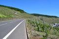 Piesport, Germany - 06 01 2021: road into vineyards above village Pieport Royalty Free Stock Photo