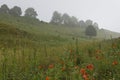 Pietersberg in Limburg, Pietersberg at Limburg