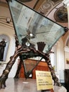 Pietrelcina - Relic of San Pio