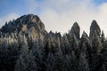 Pietrele Doamnei rocks in Rarau Mountain in Bucovina Royalty Free Stock Photo