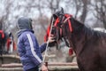 Man handles an adorned horse before an Epiphany celebration horse race