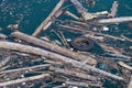 Pollution in the reservoir at Pieve di Cadore, Veneto, Italy on August 10, 2020 Royalty Free Stock Photo