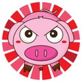 Pig angry Royalty Free Stock Photo