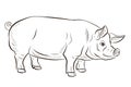 Pig. In the animal world. Black and white image. Coloring book for children.