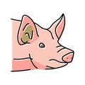 pig animal zoo color icon vector illustration Royalty Free Stock Photo