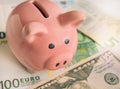 Pig Bank on Euro banknotes, a symbol of saving and saving Finance, competent investment Royalty Free Stock Photo