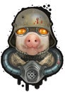 Pig on the battlefield