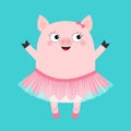 Pig bellerina. Piggy piglet ballet dancer dressed in pink skirt. Tutu dress, pointe. Cute cartoon funny kids baby character. Hog s