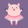 Pig bellerina. Piggy piglet ballet dancer dressed in pink skirt. Tutu dress, pointe. Hog swine sow animal. Cute cartoon funny kids Royalty Free Stock Photo