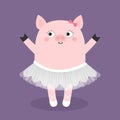 Pig bellerina. Piggy piglet ballet dancer dressed in white skirt. Tutu dress, pointe. Cute cartoon funny baby kids character. Hog Royalty Free Stock Photo