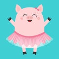 Pig bellerina. Piglet piggy ballet dancer dressed in pink skirt. Cute cartoon funny baby kids character. Tutu dress. Smiling face. Royalty Free Stock Photo