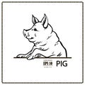 Pig black and white Royalty Free Stock Photo