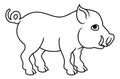 Pig Boar Chinese Zodiac Horoscope Animal Year Sign Royalty Free Stock Photo