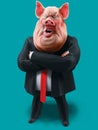 Pig boss talks with arms crossed 3D illustration Royalty Free Stock Photo