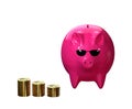 Pig businessman collecting money on white background. 3D illustration