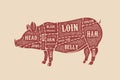 Pig butcher diagram. Pork cuts. Design element for poster, card, emblem, badge.