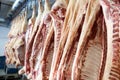 Pig carcasses cut in half stored in refrigerator room of food processing plant Royalty Free Stock Photo