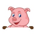 Pig cartoon holding blank sign Royalty Free Stock Photo