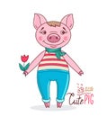 Pig in a cartoon style holding a tulip in his hand