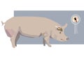Pig with Chip in its Brain - Vector Illustration