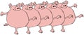 Pig Chorus Line