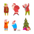 Pig Christmas Character Wearing Sweater and Scarf with Sack and Fir Tree Vector Set